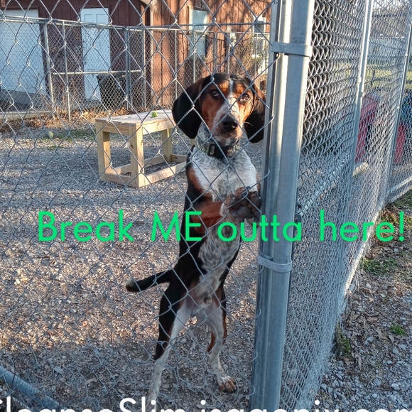 Wholesale Estate Luxury Fashions - Picture 11 of 16